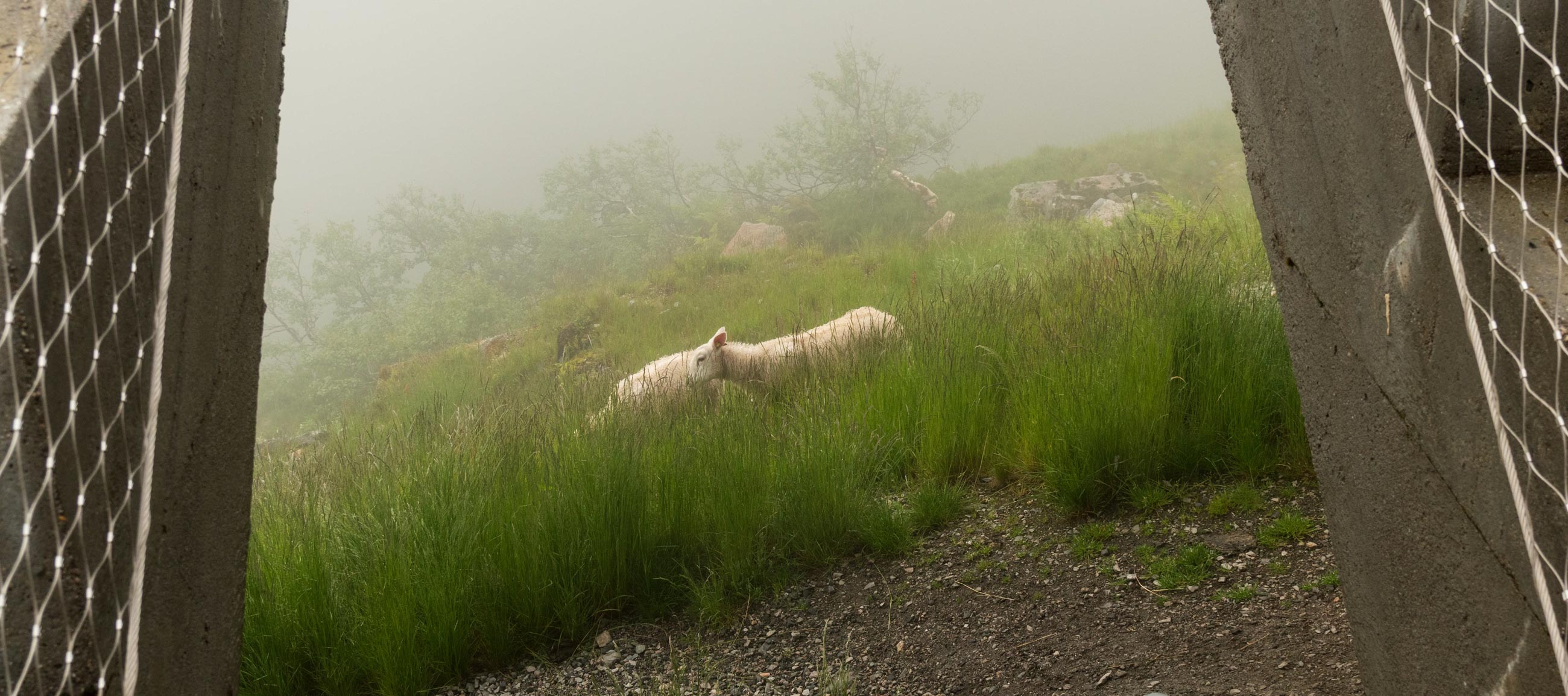 L00_4790fcpxblog