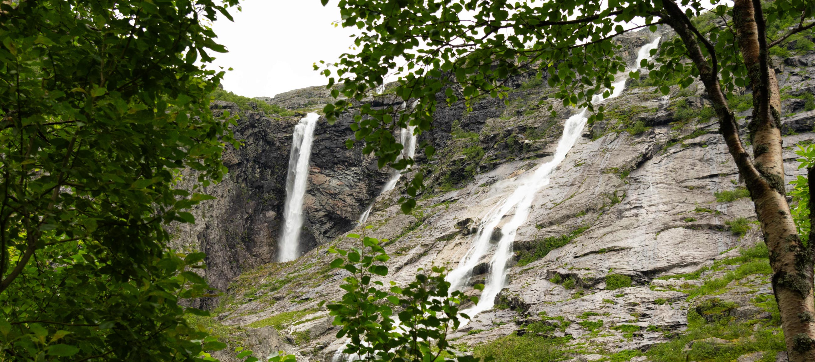 L00_4843fcpxblog