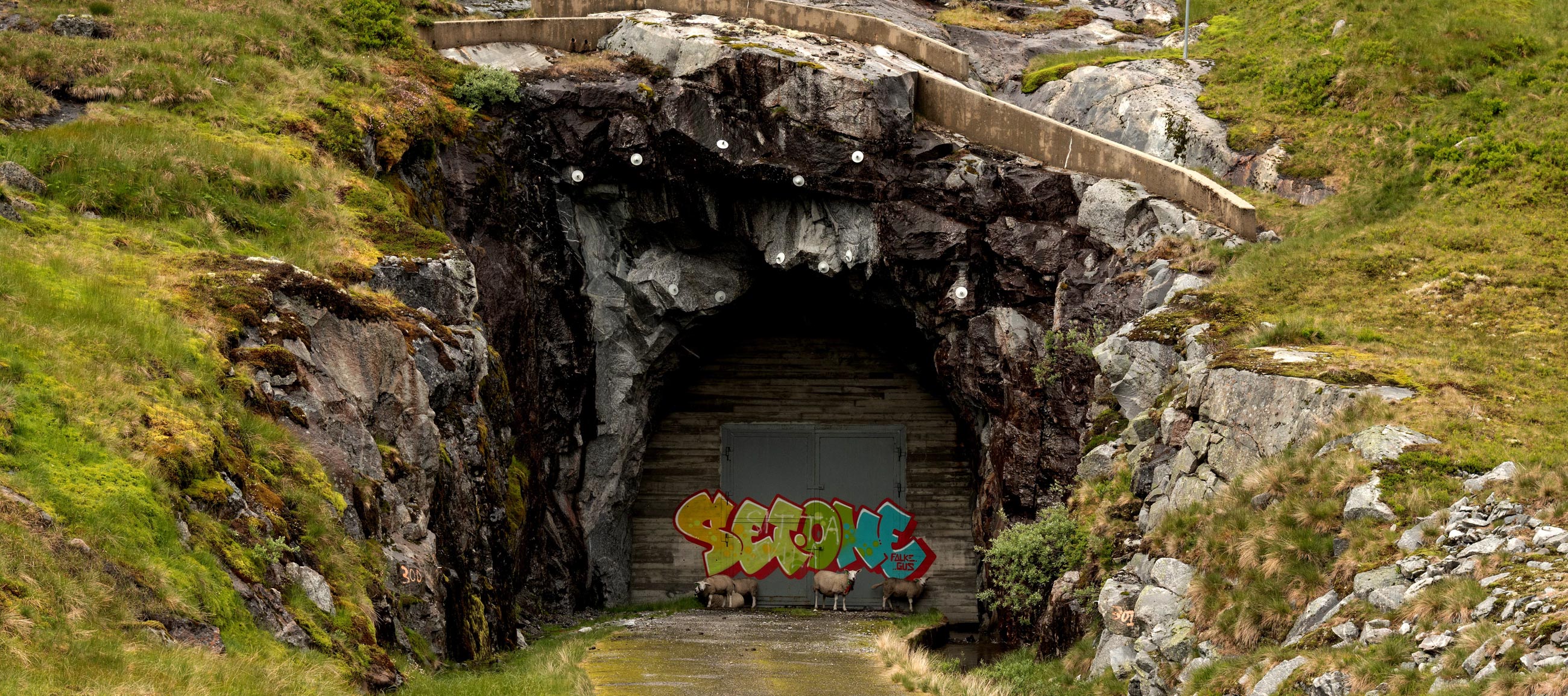 L00_5343fcpxblog