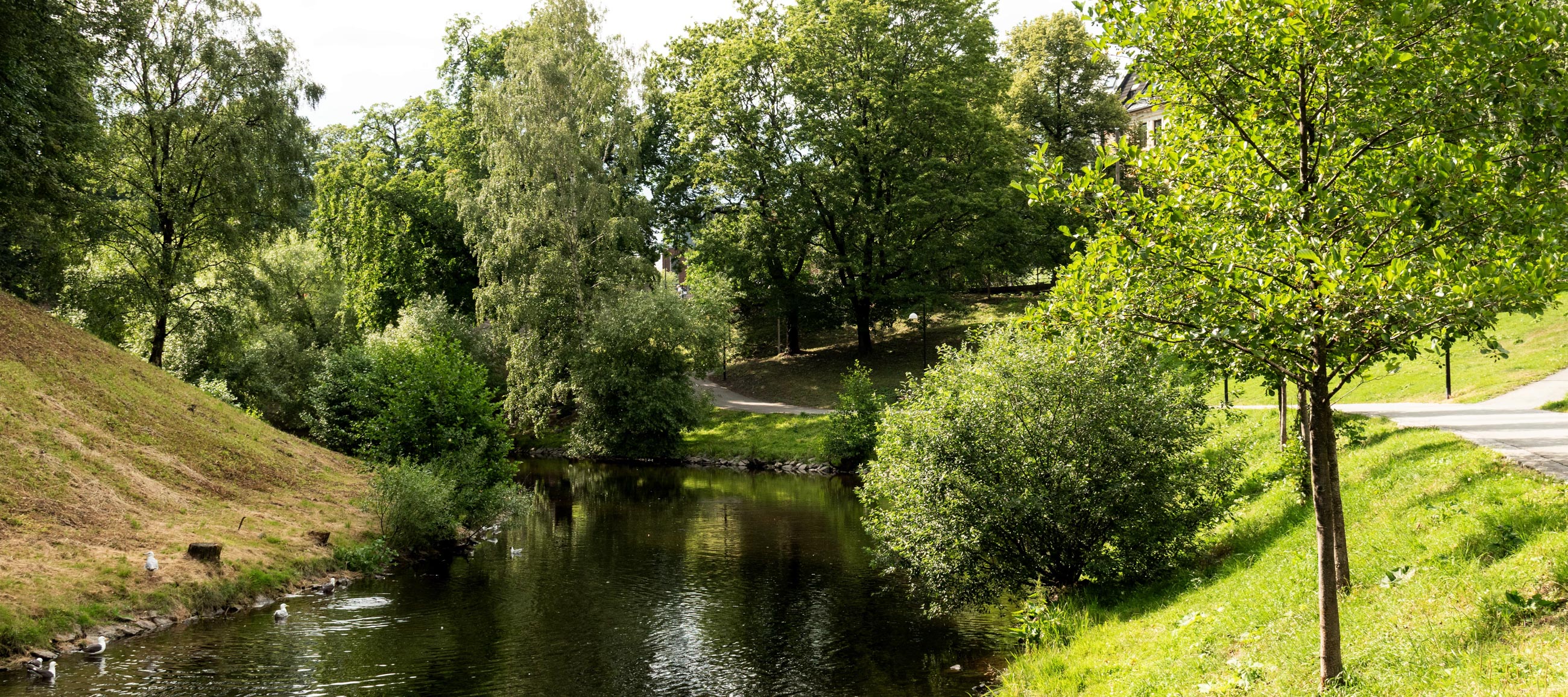L00_5721fcpxblog